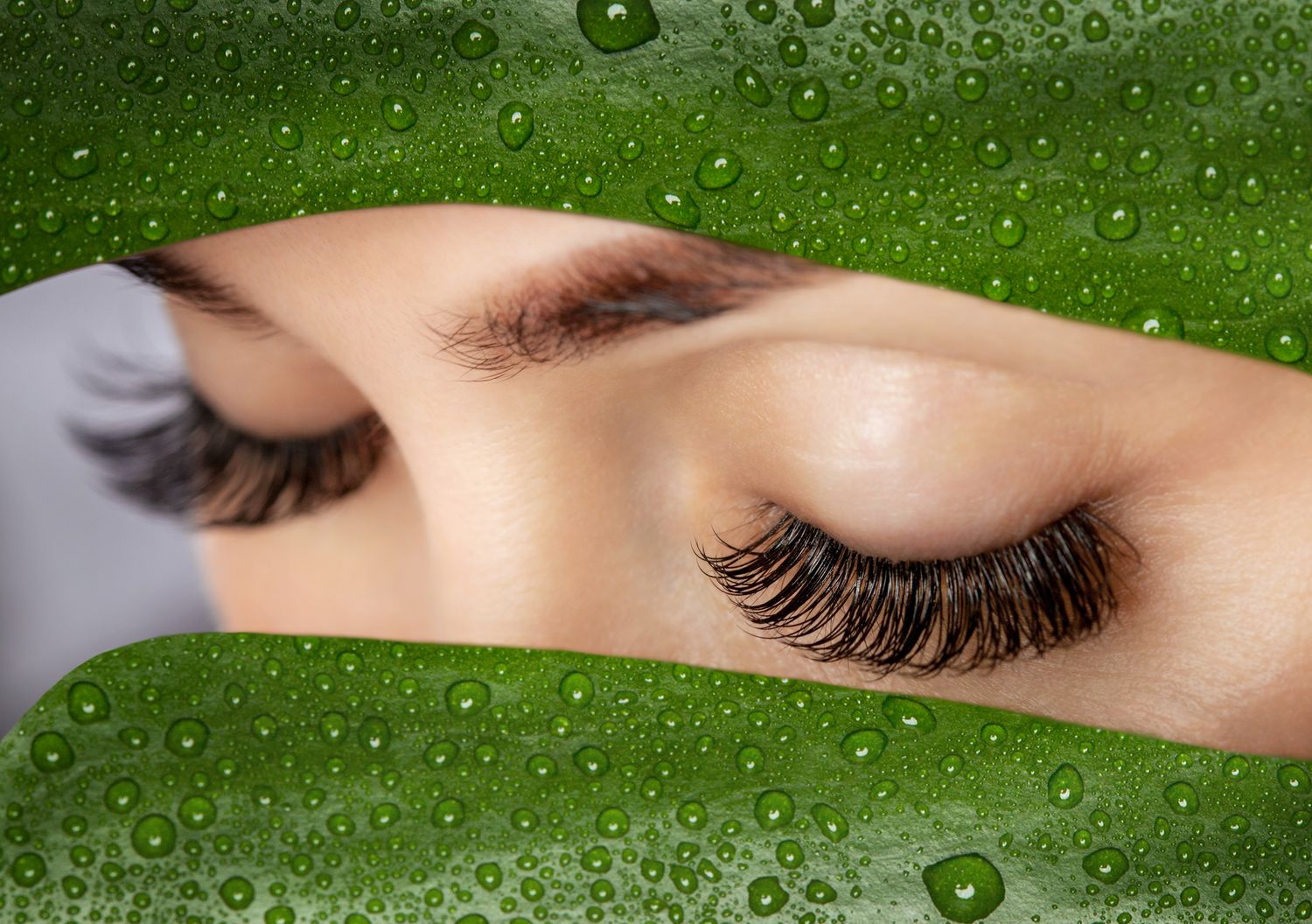 嫁接美睫示意圖